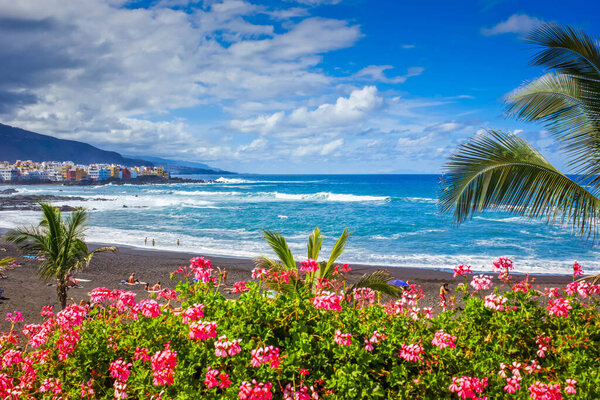 flowers over black sand beach playa Jardin,Puerto de la Cruz, Tenerife, Spain