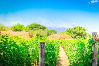 Pompei'nin kalıntıları ile arka planda, İtalya, Vezüv Yanardağı görüntü tonda
