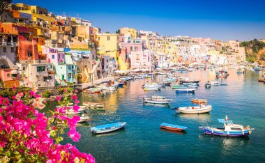 Procida adası rengarenk bir kasaba. Yazın limanı çiçeklerle dolu, İtalya.