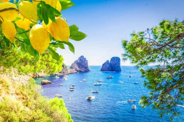 Ünlü Faraglioni Kayalıkları ve Capri Adası coast, İtalya, tonda retro