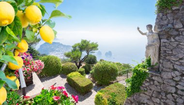 Capri adasının Solaro Dağı 'ndan yerel limonlarla görünüm