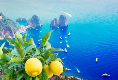 Ünlü Faraglioni uçurumları ve yerel limonlu Tyrhenian Denizi, Capri Adası, İtalya