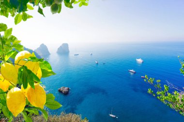 Famous Faraglioni cliffs and Tyrrhenian Sea clear blue water, Capri island, Italy