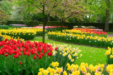 Lale bahçesinde renkli bir patika, gür bir ortamda canlı çiçekler sergiliyor, ziyaretçileri keşfetmeye davet ediyor.