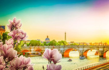 Köprü Pont Neuf ve Seine nehri güneşli bahar günbatımında, Paris, Fransa, retro ton