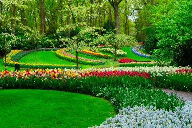 Lale bahçesinde renkli bir patika, gür bir ortamda canlı çiçekler sergiliyor, ziyaretçileri keşfetmeye davet ediyor.