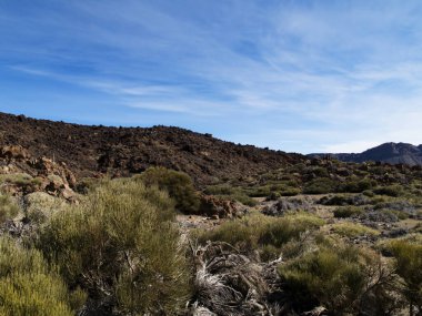 Güneşli bir günde Teide Dağı vadisi, Tenerife, Kanarya, İspanya