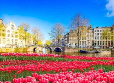 Hollanda, Amsterdam 'da kanal suyu üzerinde eski tarihi evler ve ağaçların cepheleri