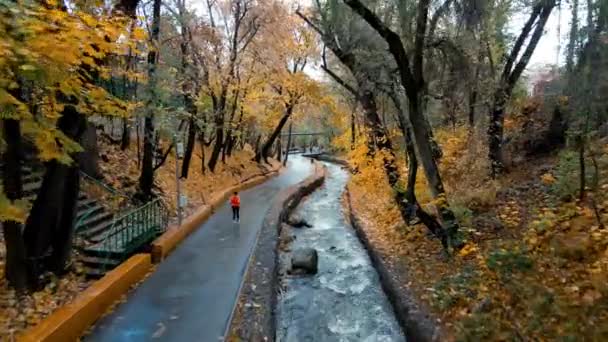 ランナー黄色の葉のカエデの木と秋の時間に山の川と市公園でジョギングを実行しているオレンジのジャケットの女性 健康的なライフスタイル トレーニング スポーツ — ストック動画