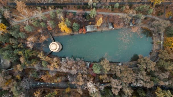 오렌지 재킷을 공원에서 조깅을 여자가 가을이 위에서 단풍나무를 호수를 건너고 — 비디오