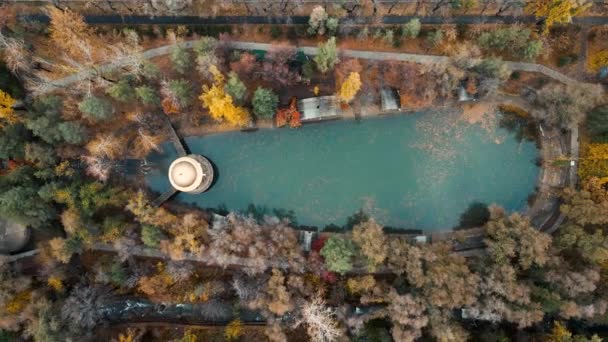 黄色の葉を持つ市公園内の小さな緑の湖の空中ドローンショットカエデの木とアルマトイ カザフスタンの秋の時間に湖を渡る橋とラウンドRotunda — ストック動画