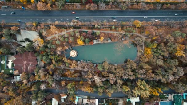 Aereo Drone Colpo Piccolo Lago Verde Nel Parco Della Città — Video Stock