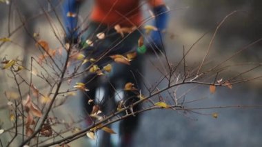 Turuncu formalı bir dağ bisikleti Sonbahar Tepesi dağ vadisinde sarı yapraklı sallanan bir dal sisli bir sabahta yavaşça yaklaşır.