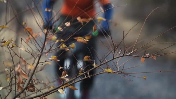オレンジジャージーの男マウンテンバイク秋の丘の森の谷で黄色の葉を持つ振る枝霧の朝遅い動きを閉じます — ストック動画