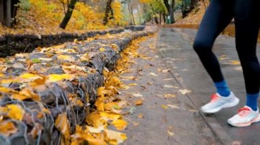 Turuncu ceketli koşucu kadın sonbahar zamanı şehir parkında sarı yapraklı akçaağaç ağaçlarıyla koşup koşmadan önce ısınma hareketleri yapıyor. Sağlıklı yaşam tarzı, eğitim, spor.
