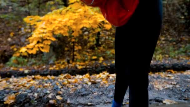 オレンジのジャケットを着たランナーの女性は 秋の時期に黄色の葉のカエデの木でシティパークを走り ジョギングする前に暖かい動きをします 健康的なライフスタイル トレーニング スポーツ — ストック動画