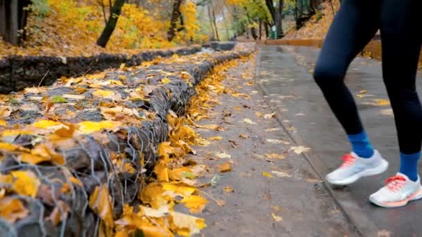 オレンジのジャケットを着たランナーの女性は 秋の時期に黄色の葉のカエデの木でシティパークを走り ジョギングする前に暖かい動きをします 健康的なライフスタイル トレーニング スポーツ — ストック動画