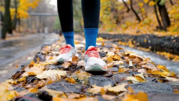 Turuncu Ceketli Koşucu Kadın Sonbahar Zamanı Şehir Parkında Sarı Yapraklı Stok Çekim 