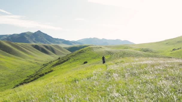 カザフスタンのアルマトイで日の出に美しい山の谷の緑の丘の牧草地で観光バッグと男はマウンテンバイクに乗る エクストリームスポーツ自転車の自転車パッキングと屋外レクリエーションの概念 — ストック動画