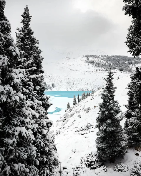 ターコイズブルーの雪の美しい景色カザフスタンのティエンシャンのビーチにあるビッグアルマティ山湖とトウヒの木の森 — ストック写真