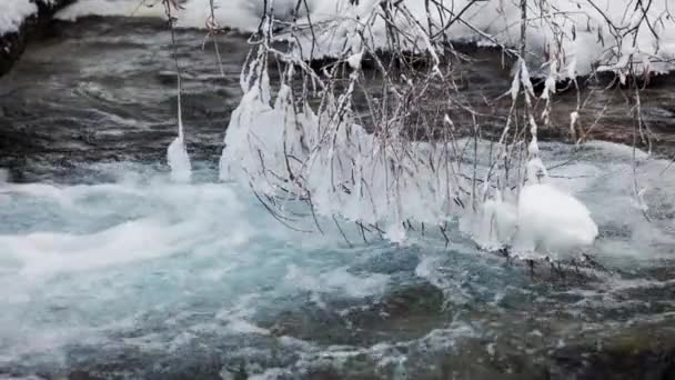 Blue Water River Stream Bench Snow Ice Mountains Winter Time — Stock Video