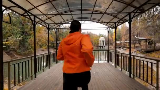 ランナー黄色の葉のカエデの木と秋の時間に湖と市公園でジョギングを実行しているオレンジのジャケットの女性 ジンバルが撃たれた 健康的なライフスタイル トレーニング スポーツ — ストック動画