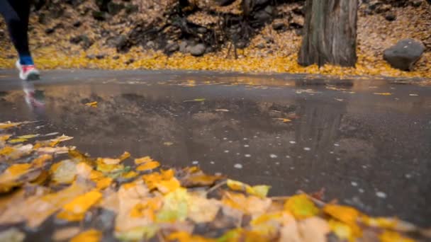 ランナー女性は秋の時期に黄色の葉のカエデの木でシティパークでジョギングを実行している水たまりのスローモーションクローズアップに足を踏み入れます 健康的なライフスタイル トレーニング スポーツ — ストック動画