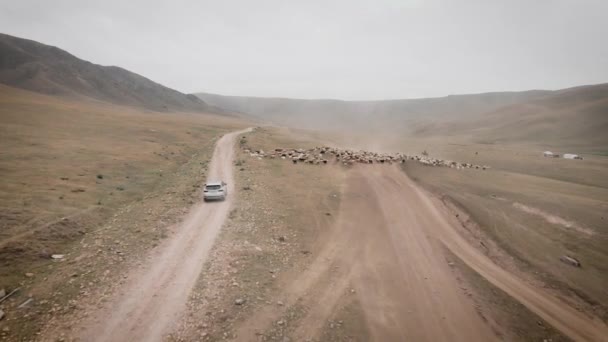 Flyg Över Road Bilar Som Kör Längs Grusväg Bergen Centralasien — Stockvideo