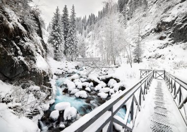 Tien Shan, Almaty Kazakistan 'daki turkuaz dağ suyu nehri ve ladin ağaçlarının yakınındaki köprü manzarası.. 