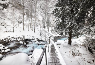 Tien Shan, Almaty Kazakistan 'daki turkuaz dağ suyu nehri ve ladin ağaçlarının yakınındaki köprü manzarası.. 