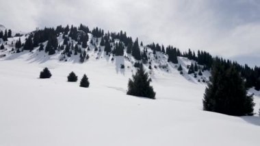 Almaty Kazakistan 'daki kışlık dağ vadisinde buzla kaplı ladin ormanı ve kar zirvesinin hava aracı görüntüsü.