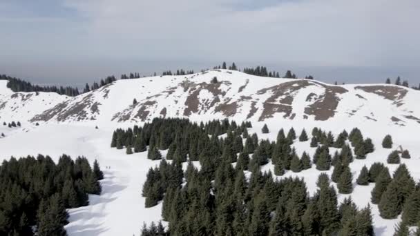 Пейзаж Воздушного Беспилотника Небольшими Туристами Возле Елового Леса Снежной Вершины — стоковое видео