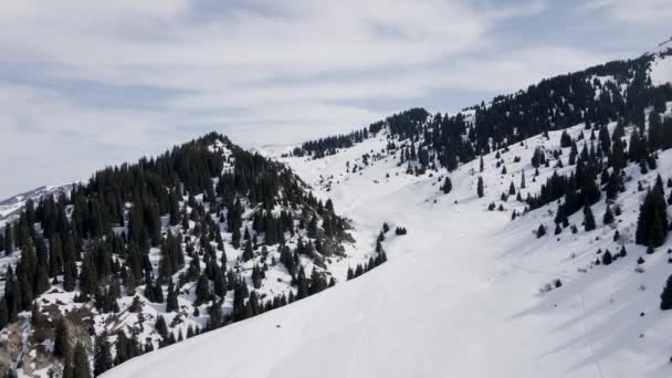 Aerial Drone Landscape Shot Spruce Forest Snow Summit Ice Glacier — Vídeo de stock