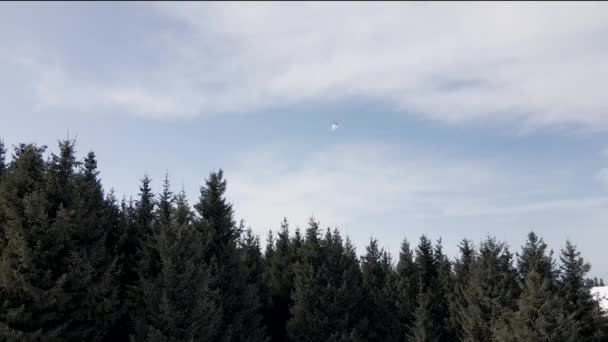 Letecký Dron Krajina Záběr Smrkového Lesa Vrtulníku Zimním Horském Údolí — Stock video