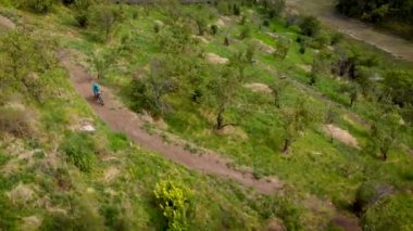 Mavi tişörtlü ve kasklı MTB motorcusu elma bahçesindeki Enduro dağ yolunda gidiyor. Dağlarda dağ bisikleti sürüyorum. Hava aracı görünümü.