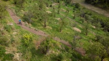 Mavi tişörtlü ve kasklı MTB motorcusu elma bahçesindeki Enduro dağ yolunda gidiyor. Dağlarda dağ bisikleti sürüyorum. Hava aracı görünümü.