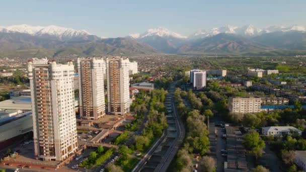 Almaty Şehrinin Arka Planında Kar Dağları Manzaralı Büyük Almaty Nehri — Stok video