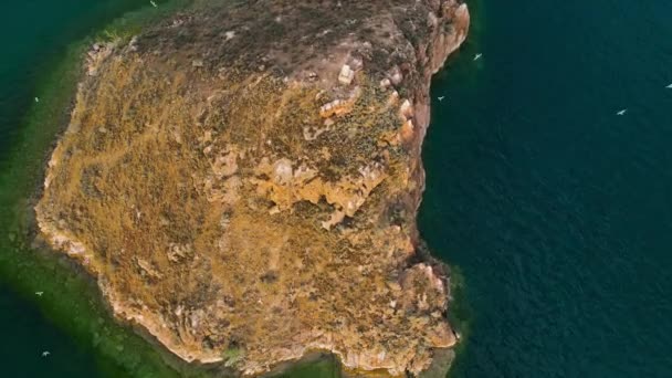 哈萨克斯坦南部卡察吉湖上有海鸥的小岩石岛屿的空中景观 — 图库视频影像