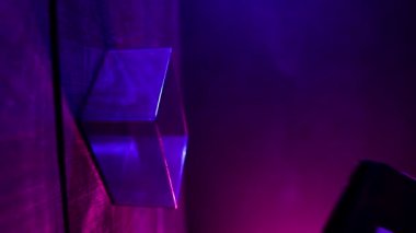 Kahveci kadının dikey videosu neon ışıklarını yakmak için plastik bardağa kahve çekirdekleri koydu. Yaratıcı pembe mavi renk arkaplanı.