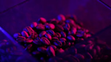 Barista plastik bardağa kahve çekirdeği koydu. Neon ışıklarını yakın tutmak için. Yaratıcı pembe mavi renk arkaplanı.