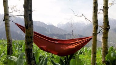 Kırmızı hamakta dinlenen sıcak kahve fincanı ve buharlı el kaldıran kadın turist. Yaz mevsiminde dağ ormanlarında kamp yapmak..