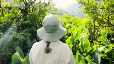 Dağlarda ve ormanda yürüyen şapkalı bir kadın gezgin. Yolculuk konsepti atmosferik destansı an.