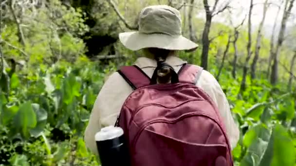 バックパックと帽子の山や森の中を歩く女性旅行者 欲望旅行の概念大気叙事詩の瞬間 — ストック動画