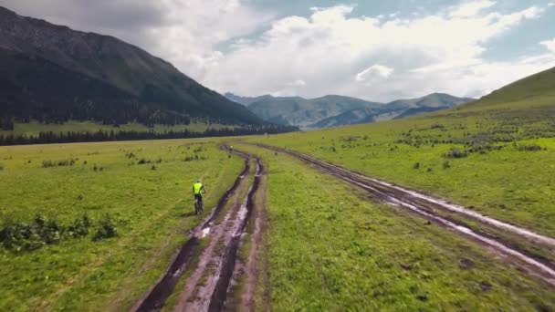 Drone Aérien Deux Hommes Vtt Sur Route Forestière Verdoyante Dans — Video