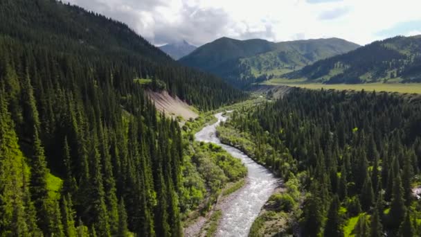 Drone Aérien Vallée Rivière Tekes Dans Forêt Verdoyante Des Montagnes — Video