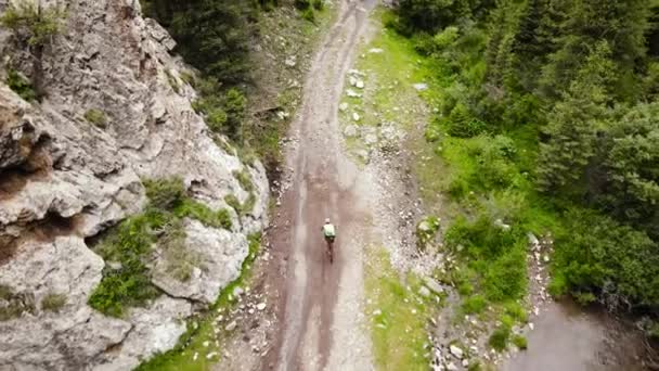 Αεροπλάνο Drone Ανδρών Οδηγούν Ποδήλατα Βουνού Στον Καταπράσινο Δασικό Δρόμο — Αρχείο Βίντεο