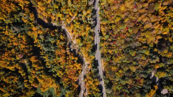 Aerial Drone View Panorama River Yellow Tree Forest Mountains Top — Αρχείο Βίντεο