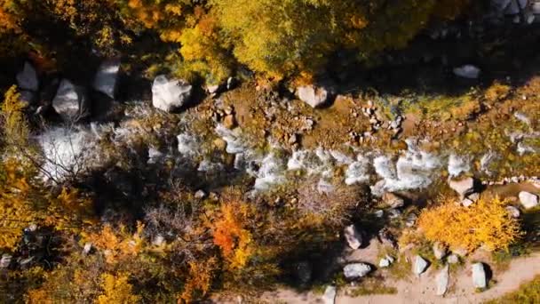 カザフスタンのアルマトイ市の秋に山の川と黄色い木の森の空中ドローンビューパノラマ — ストック動画