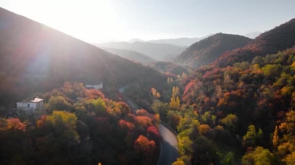 Aerial Drone View Panorama Road Transport Yellow Tree Forest Mountains — Αρχείο Βίντεο