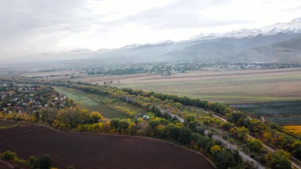 Veduta Aerea Drone Panorama Del Campo Vicino Alla Strada Con — Video Stock